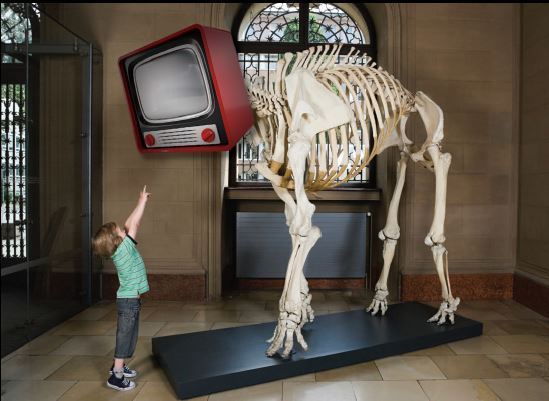 scotiabank dino tv.jpg