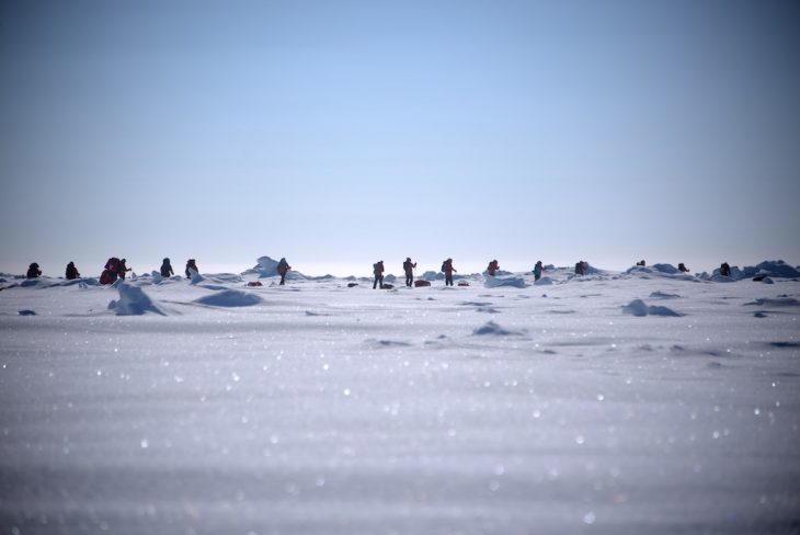March To The Pole.jpg