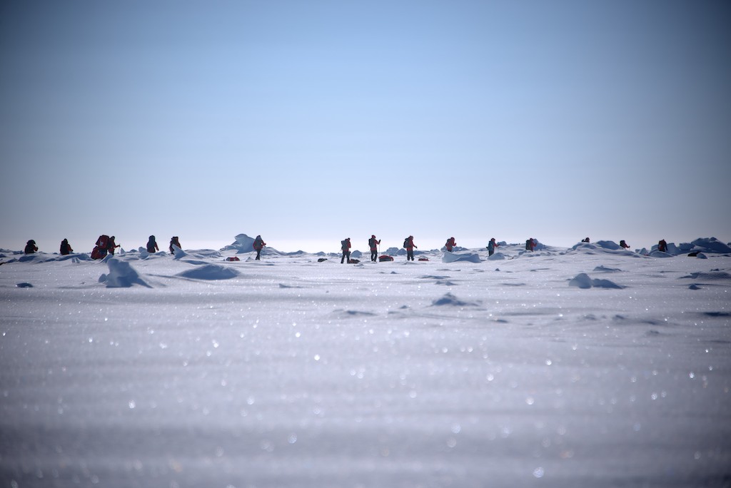 March To The Pole.jpg