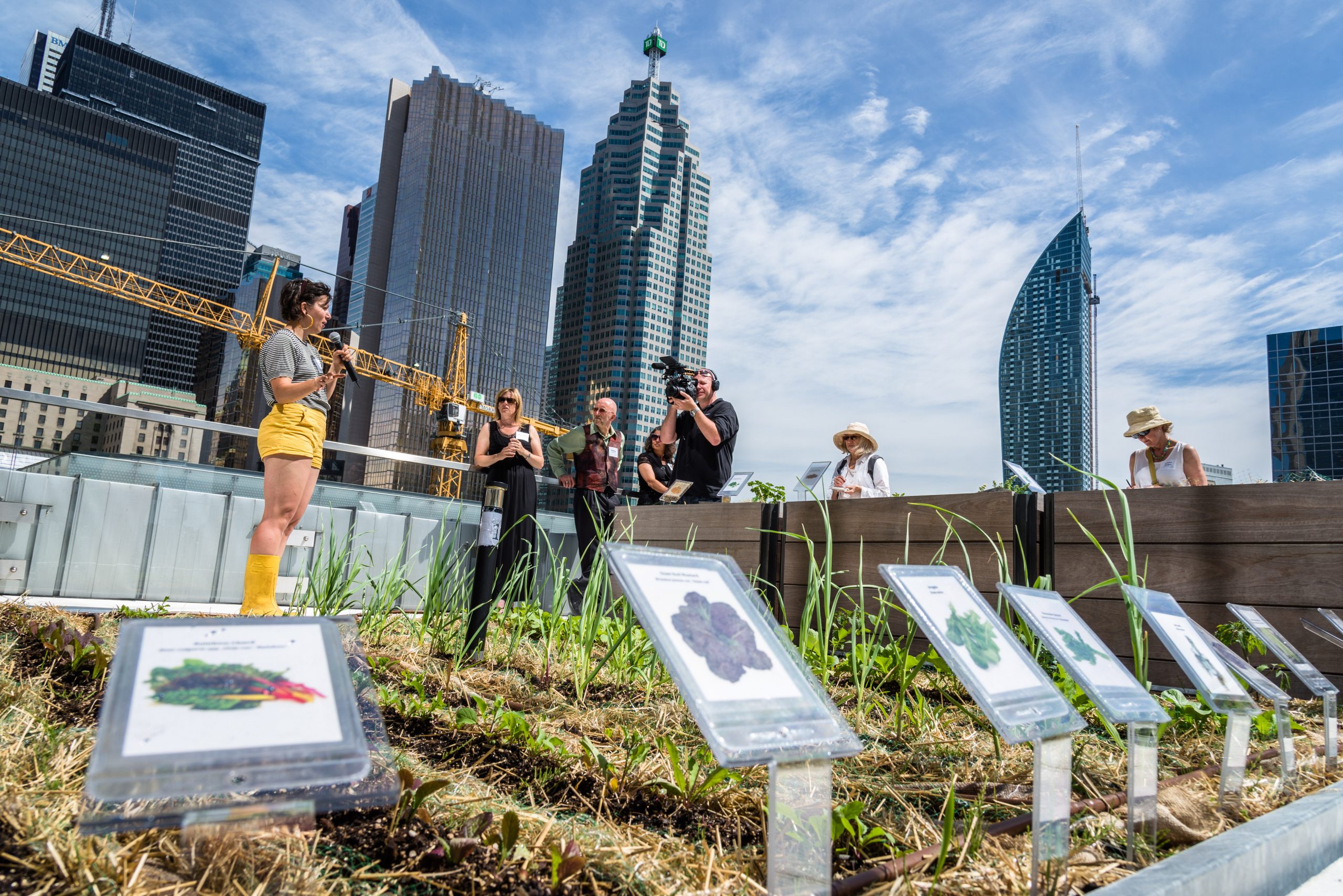 Telus House TO garden.jpg