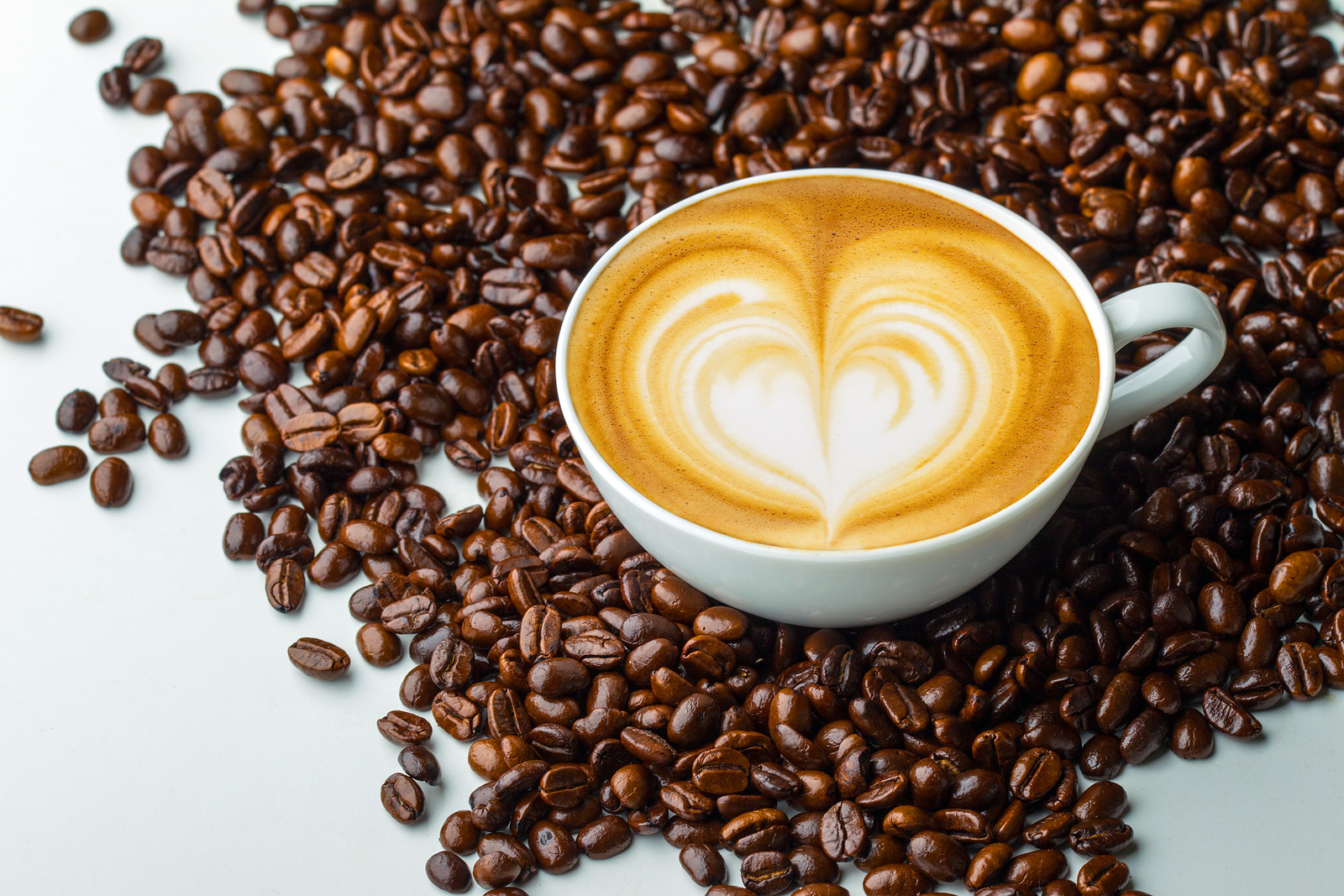 Project Latte.jpg