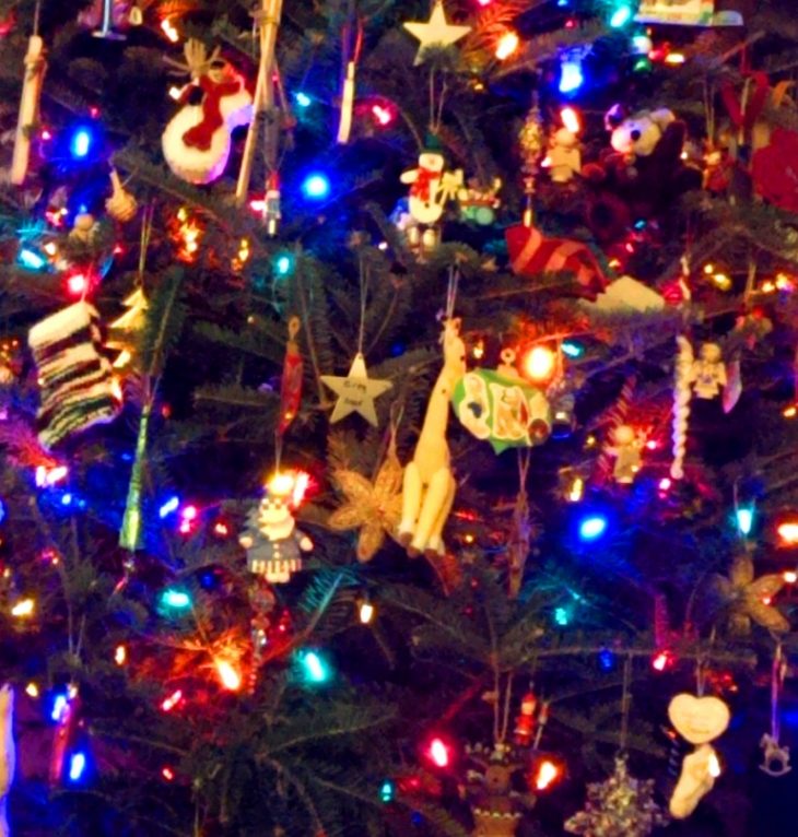 christmas tree.jpg