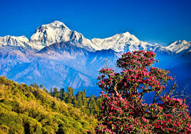 Nepal.jpg