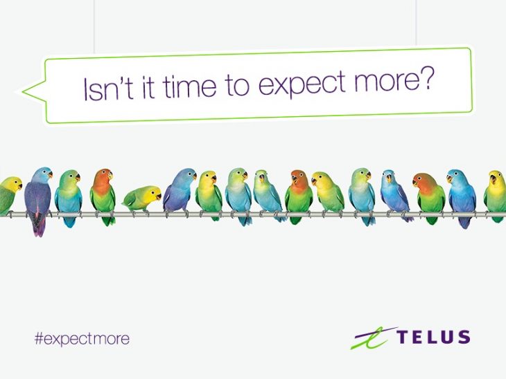 Telus Expect More.jpg