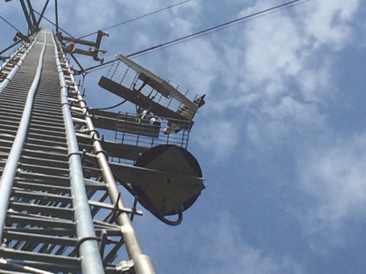 SaskTel's Turtle Lake osprey.JPG