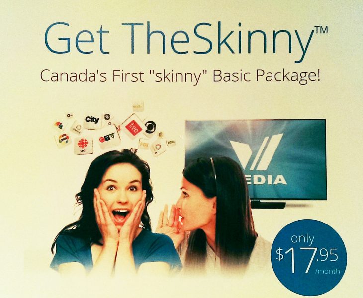 the skinny vmedia.jpg
