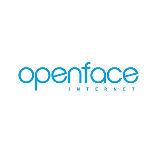 Openface Internet.jpg