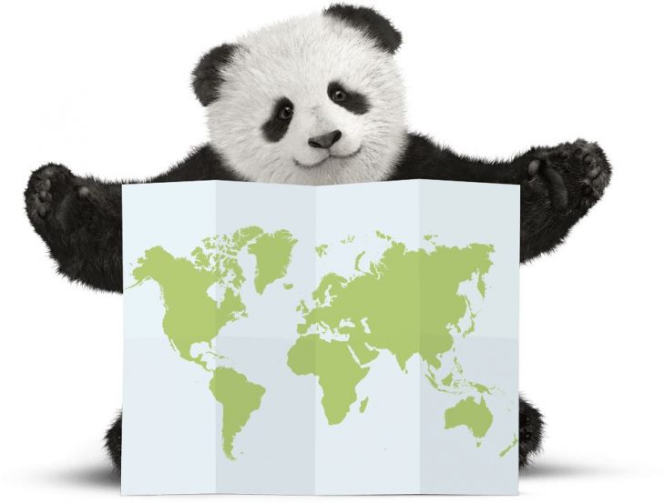 panda with map.jpg