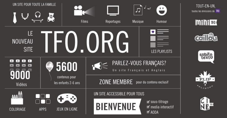 TFO platform.jpg