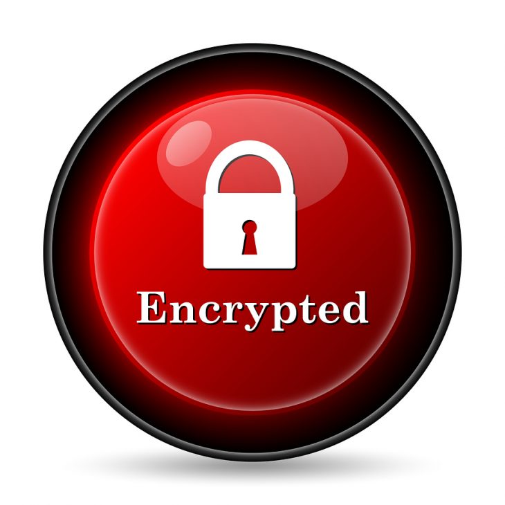 Encrypted icon.jpg