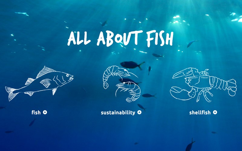 Gusto TV's All About Fish.jpg