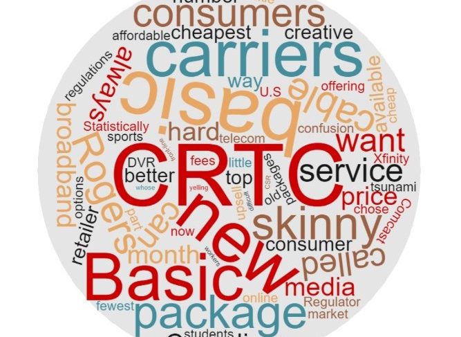 skinny basic word cloud.jpg