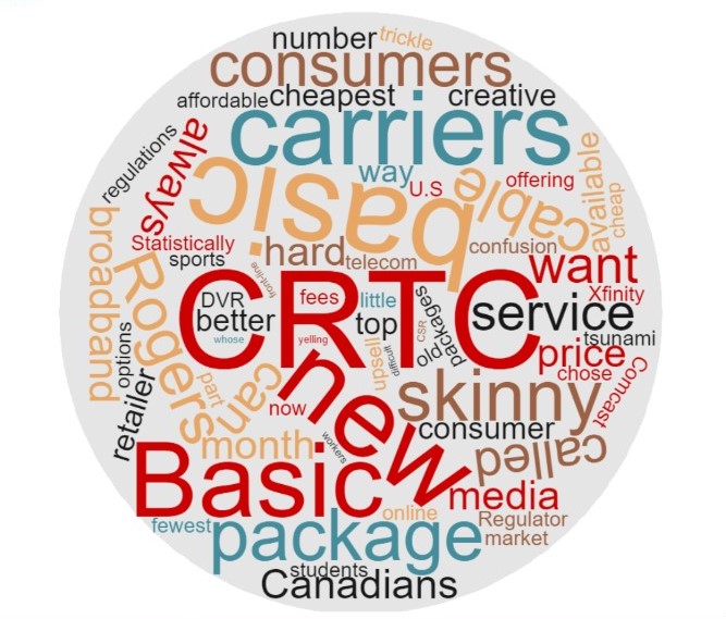 skinny basic word cloud.jpg