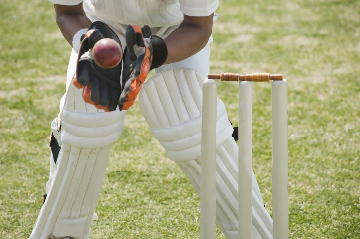 Cricket.jpg