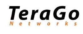 TeraGo logo.jpg