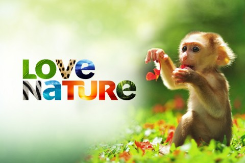 Blue Ant's LoveNature.jpg