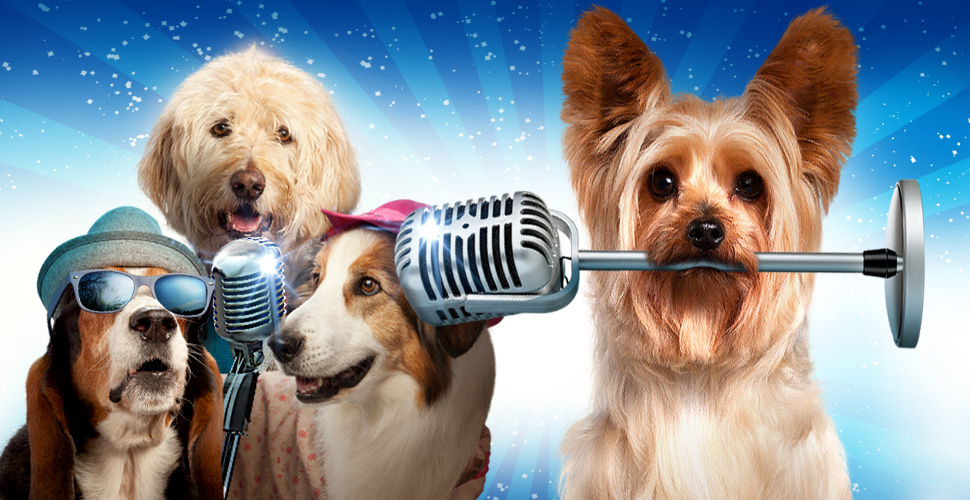 DHX Media's Pup Star.JPG