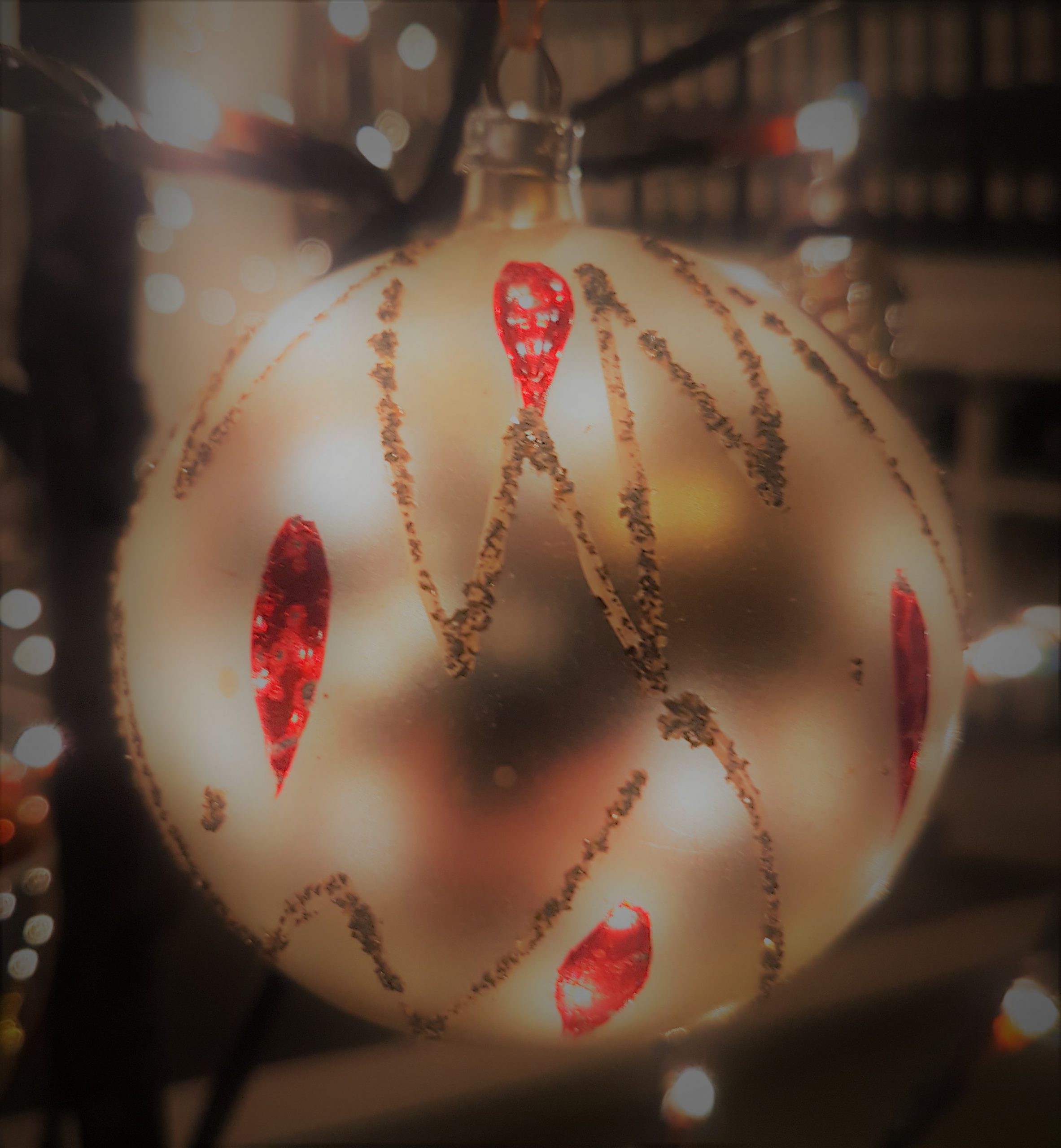 christmas ornament.jpg