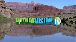 Stingray's NatureVision TV.jpg