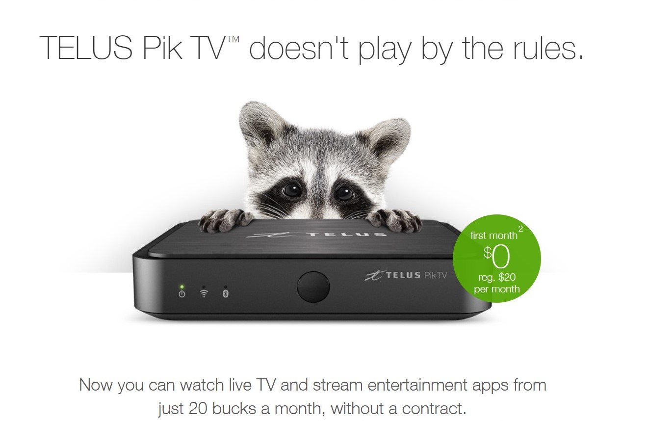 pik tv screen cap.jpg