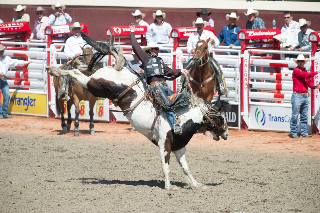 CBC ropes Calgary Stampede through 2019 - Cartt.ca