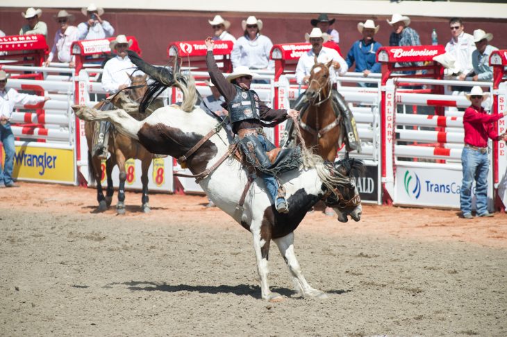 CBC and Calgary Stampede.jpg