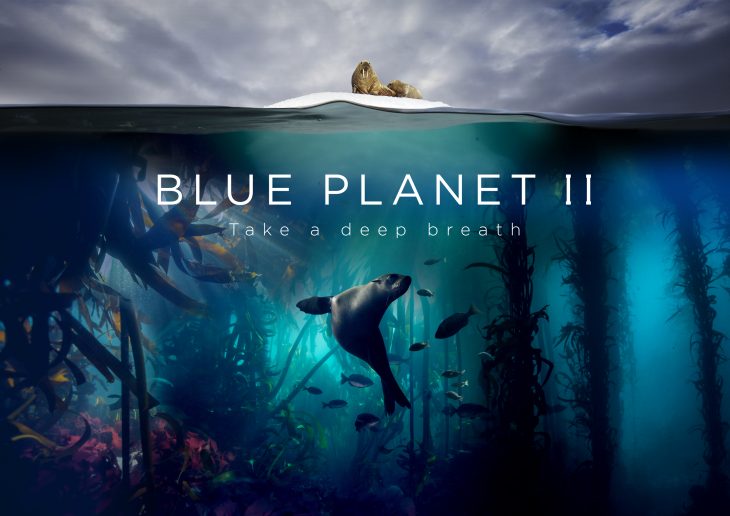 BBC Earth's Planet Earth Blue Planet II.jpg