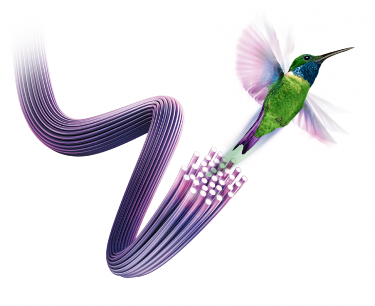 img-hummingbird.png