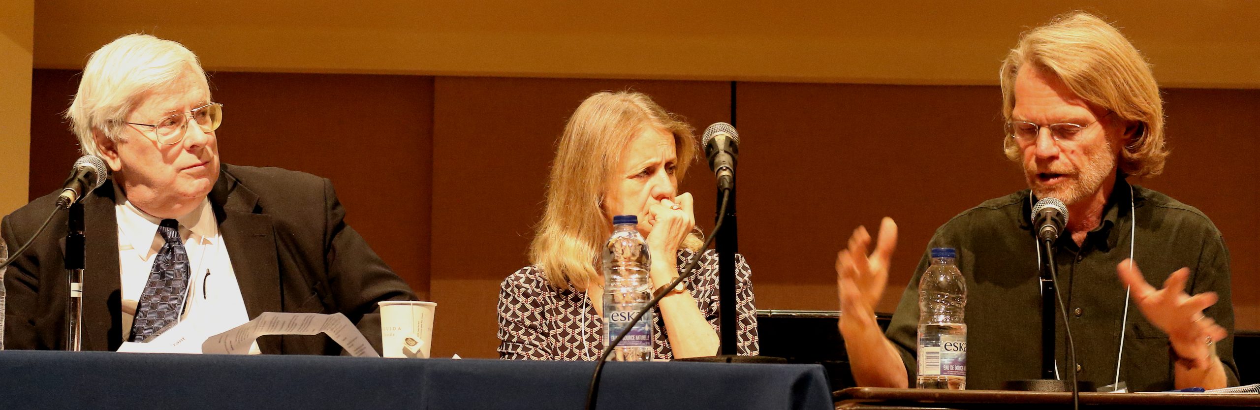 Conent panel CROP.JPG