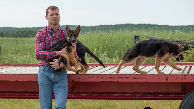 Letterkenny-release-624x351.jpg