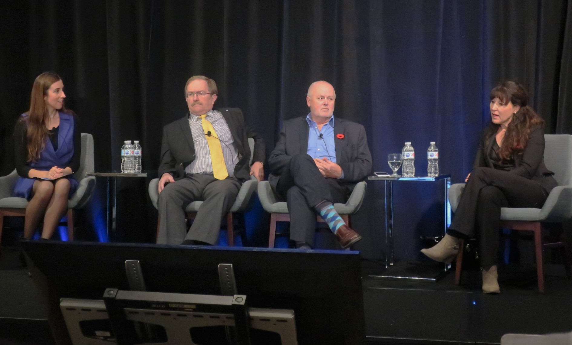 IPS summit panel picture.JPG