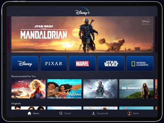 Disney plus screenshot.jpg