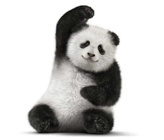Telus bear.jpg