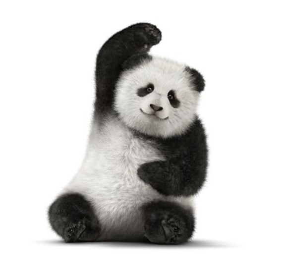Telus bear.jpg